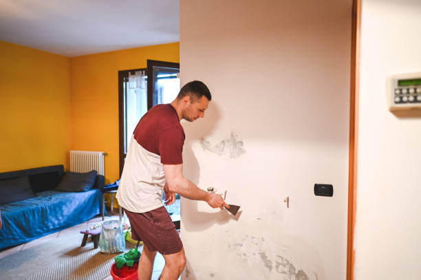Best Water Damage Restoration  in Glenview, IL